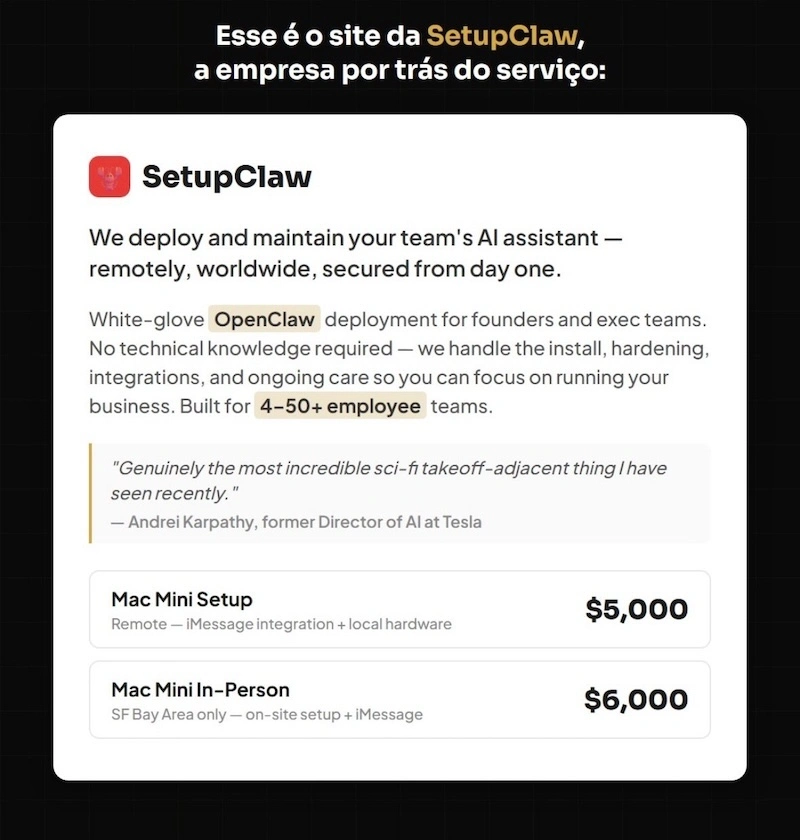 Empresa americana cobrando US$ 5.000 para instalar IA remotamente